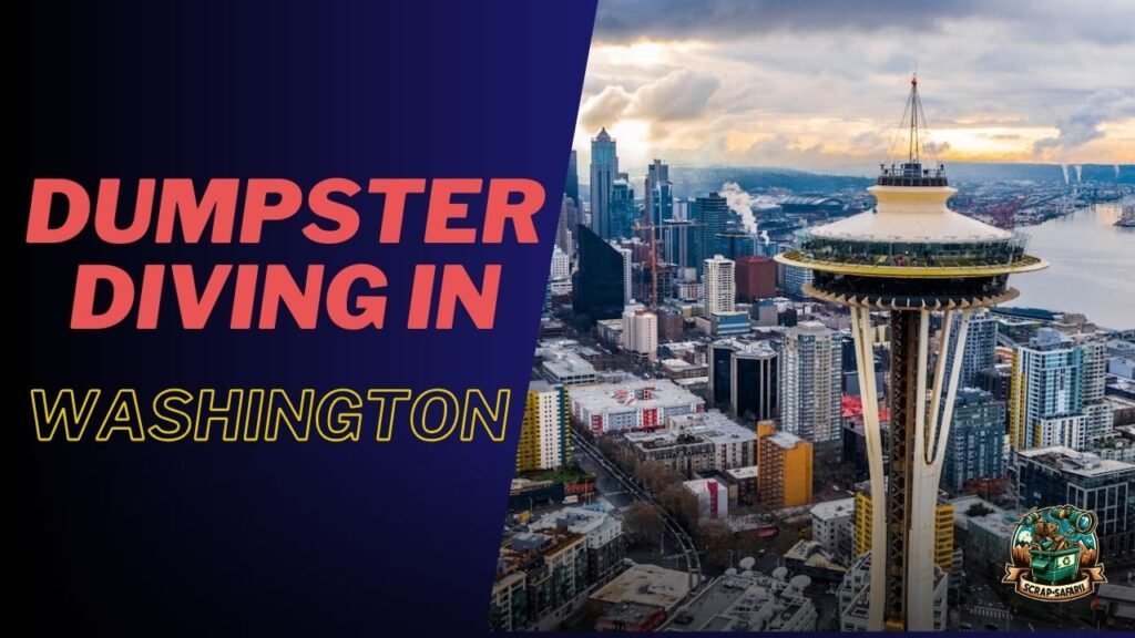 Dumpster Diving In Washington