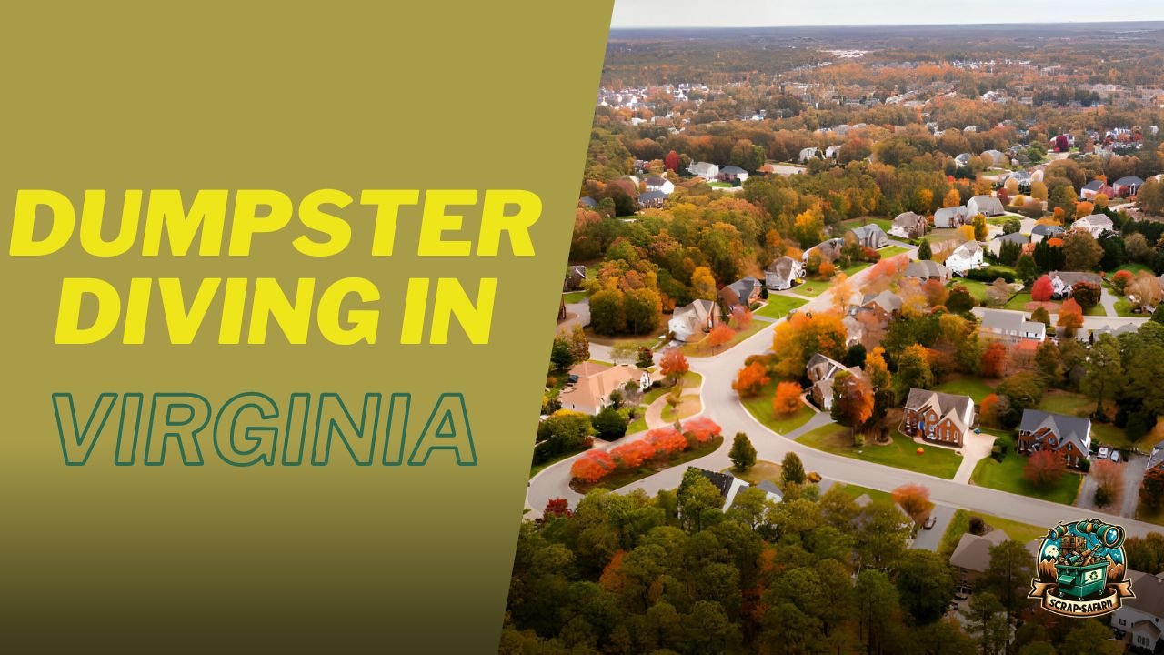 Dumpster Diving in Virginia