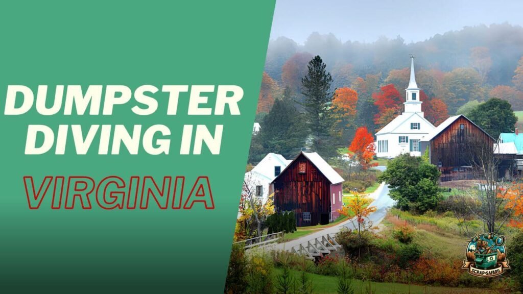 Dumpster Diving In Vermont