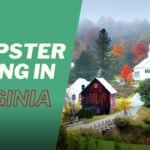 Dumpster Diving In Vermont