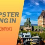 Dumpster Diving in Quebec