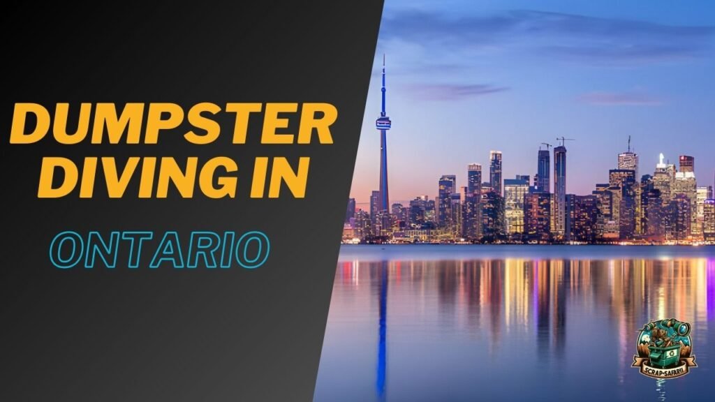 Dumpster Diving in Ontario