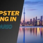 Dumpster Diving in Ontario