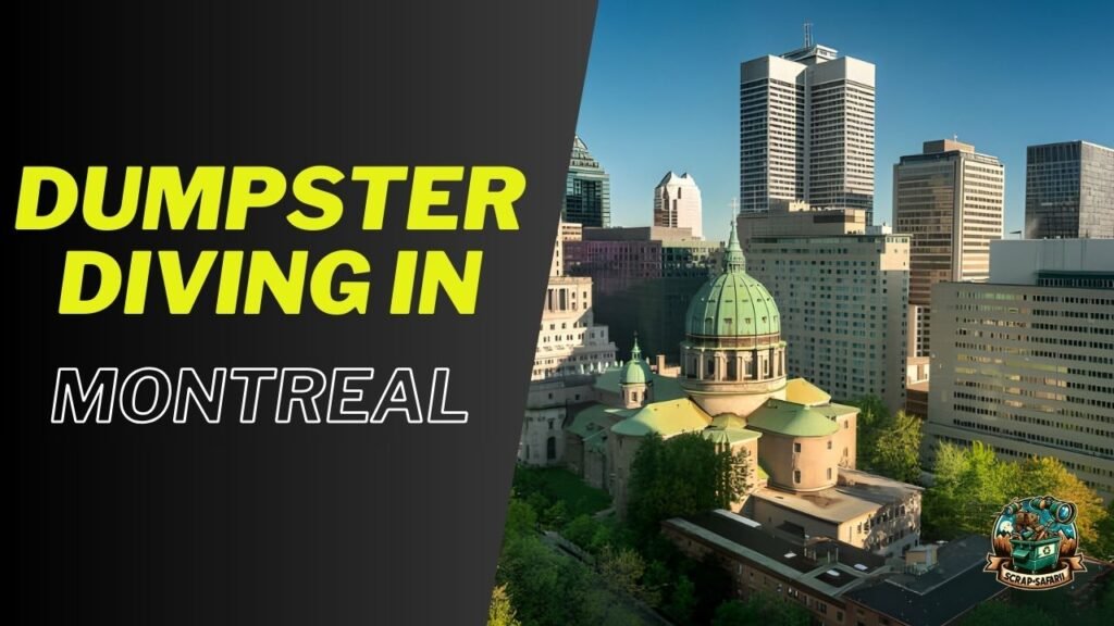 Dumpster Diving in Montreal