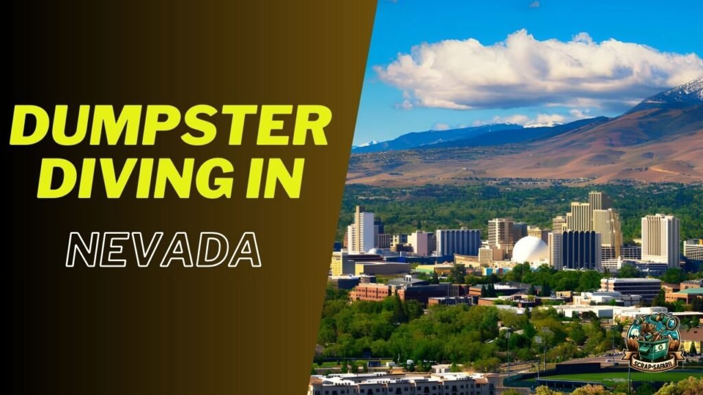 Dumpster Diving in Nevada