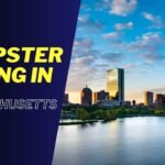 Dumpster Diving in Massachusetts