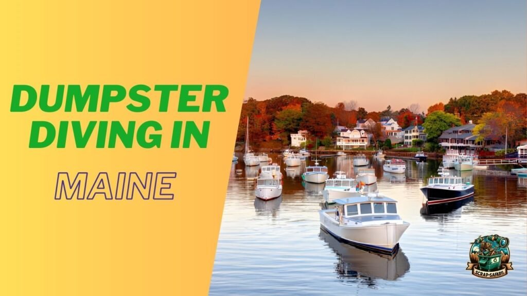 Dumpster Diving in Maine