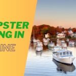 Dumpster Diving in Maine