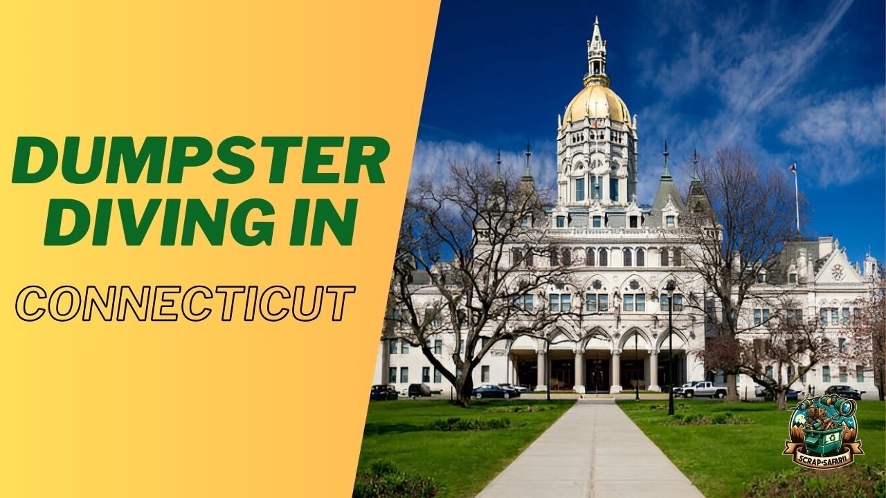 Dumpster Diving In Connecticut