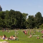 Can You Metal Detect in State Parks