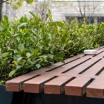 How to Build A Wooden Bench