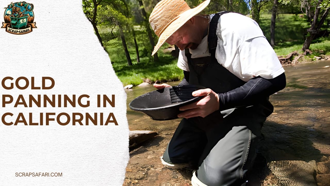 Gold Panning in California